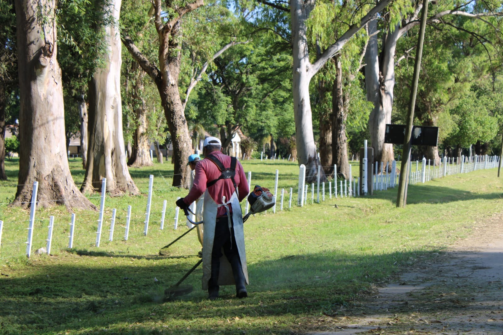 El Municipio realiza tareas de corte de pasto en distintos sectores de la ciudad